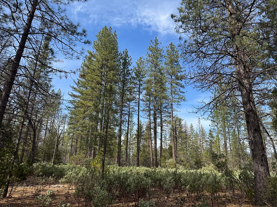 1st image of 11 Whitmore Village Rd