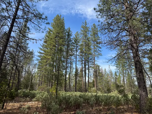 11 Whitmore Village Rd, Whitmore, CA 96096