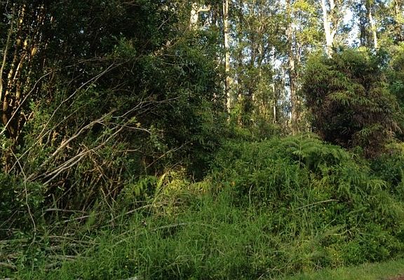 2nd image of Azure Dr Lot 67