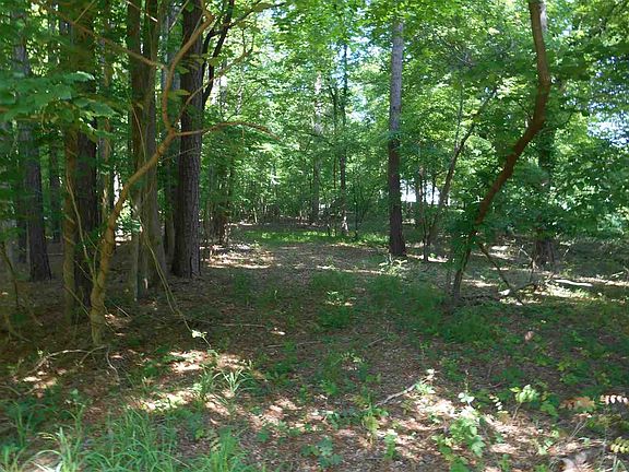 5th image of 5817 Wilkins Dr