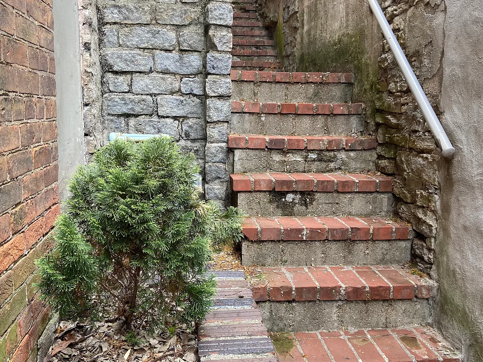 1 bed, 1.5 bath, 500 sqft, $1,225 — Photo 1