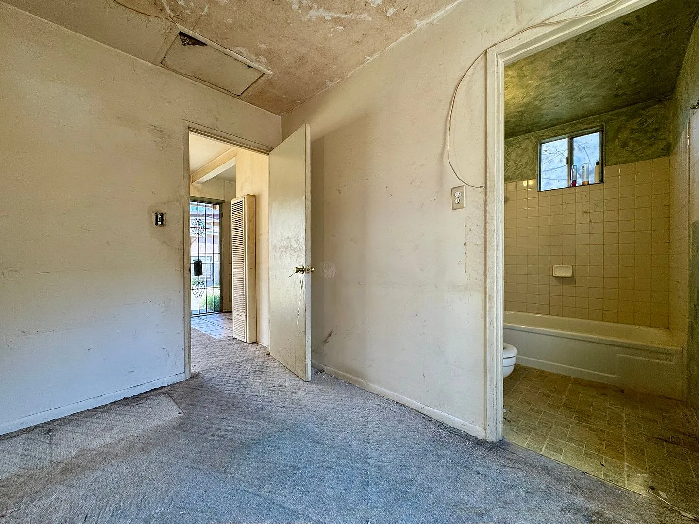 GARVEY — Photo 4