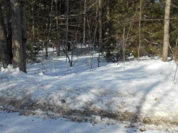 2nd image of Davenport Rd