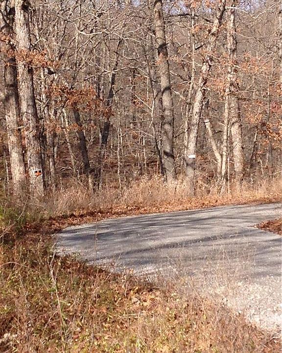 2nd image of Steven Ln