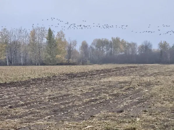 Off Larkin Road Acres #40, Ogema, WI 54459