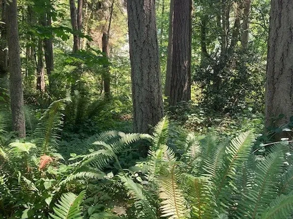 46 NE Felicity Lane, Kingston, WA 98346