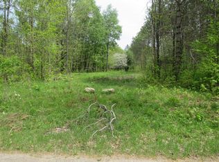 Trump Lake Rd, Wabeno, WI 54566
