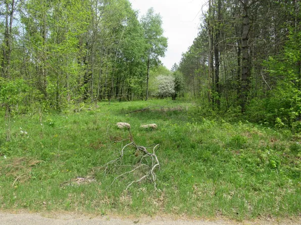 Trump Lake Rd, Wabeno, WI 54566