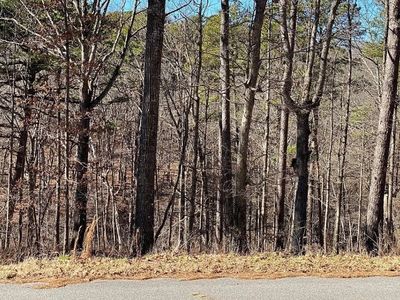 Camborne Dr #10, Bella Vista, AR, 72714