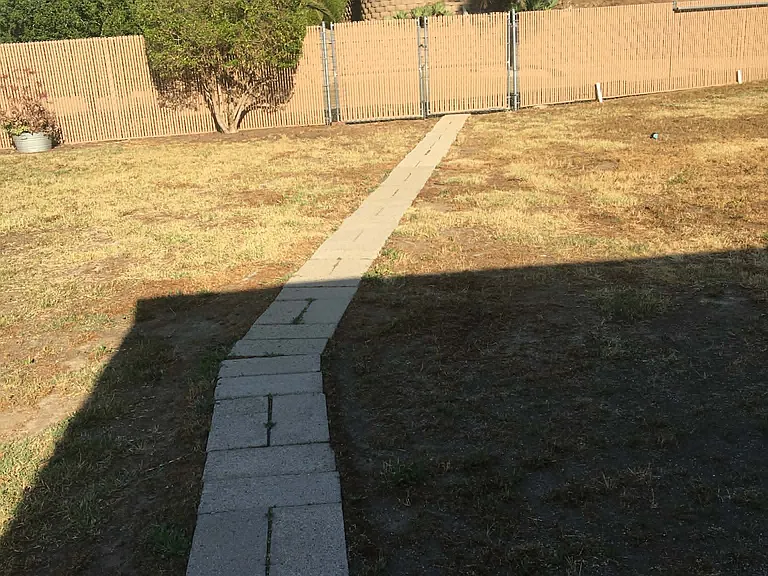 Spacious backyard
