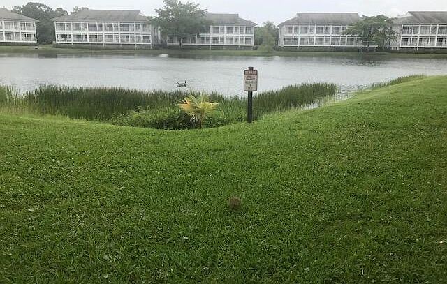 2nd image of 219 Cypress Point Dr #219