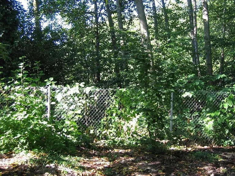 2128 SW Holden St #C207 — Photo 12