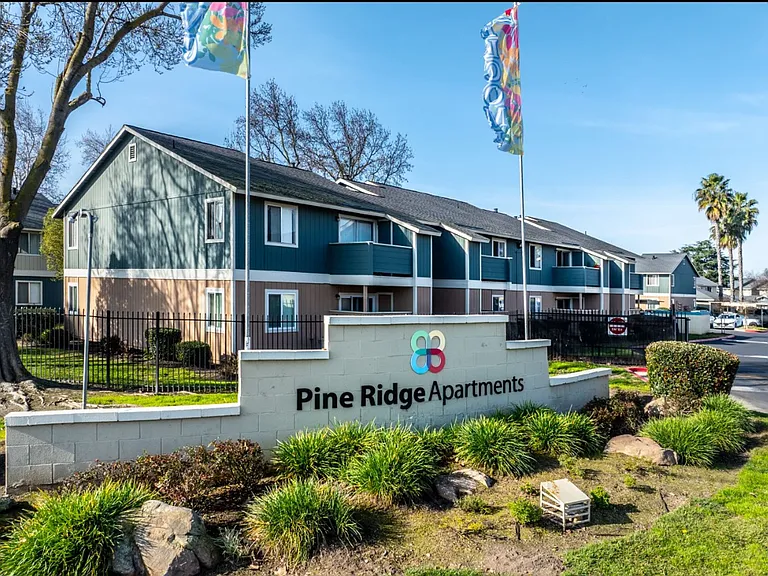 PINE RIDGE — Photo 11