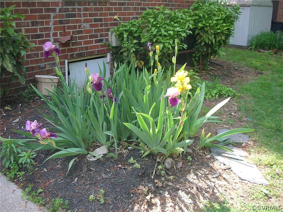 2nd image of 2822 Oakland Ave