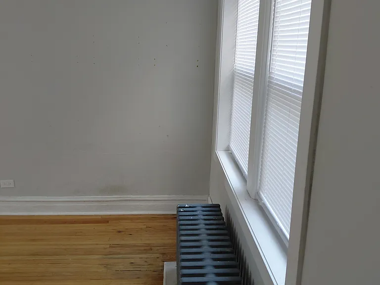 1924 W 78th St #2N — Photo 8