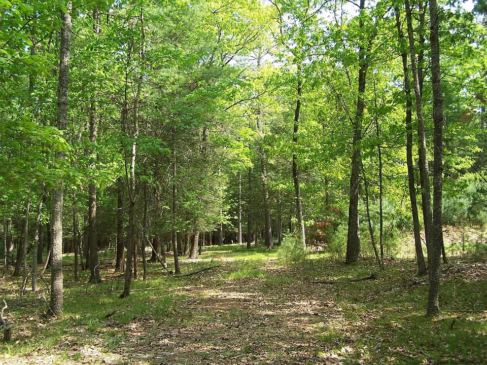 1st image of Lot 1 White Pine