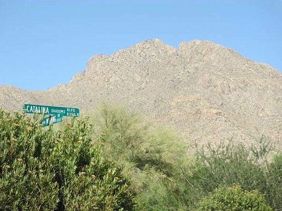 3rd image of 8319 N Verde Catalina Dr