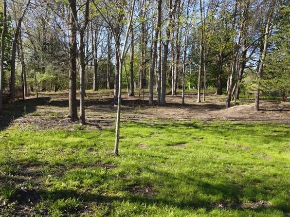 0 Galloway Dr, Manchester, MI 48158