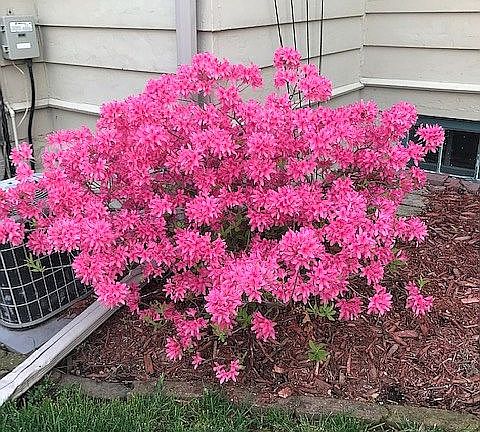 Colors spring, summer, fall