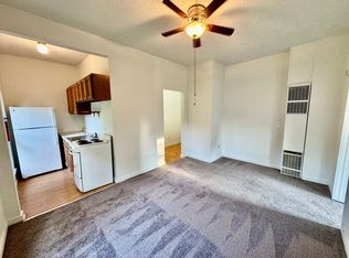 213 N Hamilton St APT 5, Ypsilanti, MI 48197