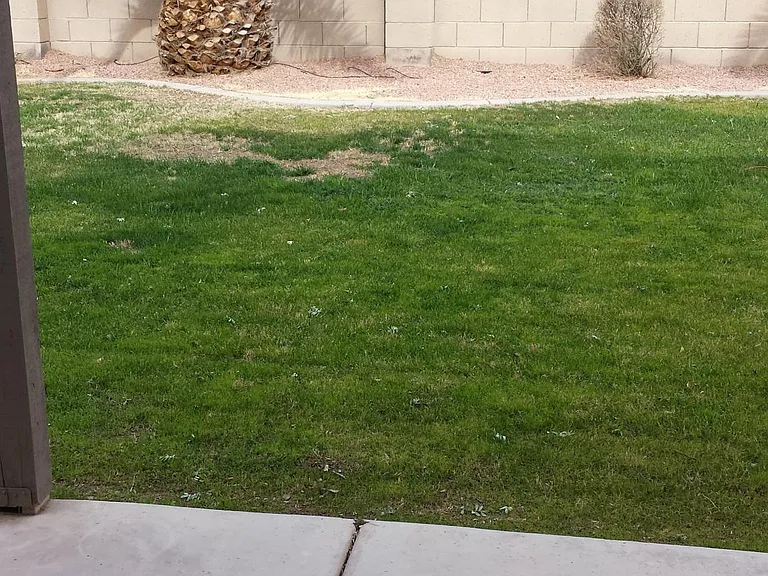 Covered Patio ... view from Breakfast Nook