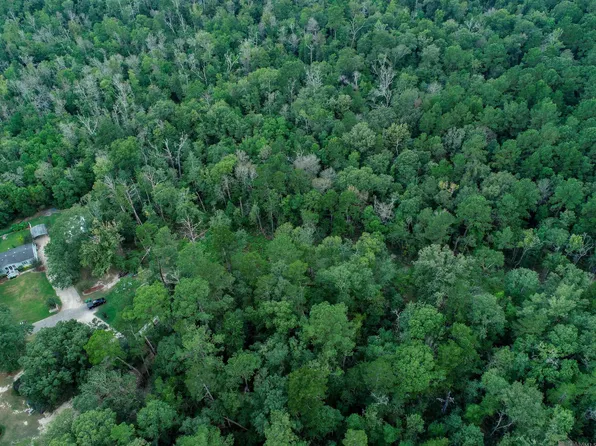 Pinkney Ln, Walker, LA 70785