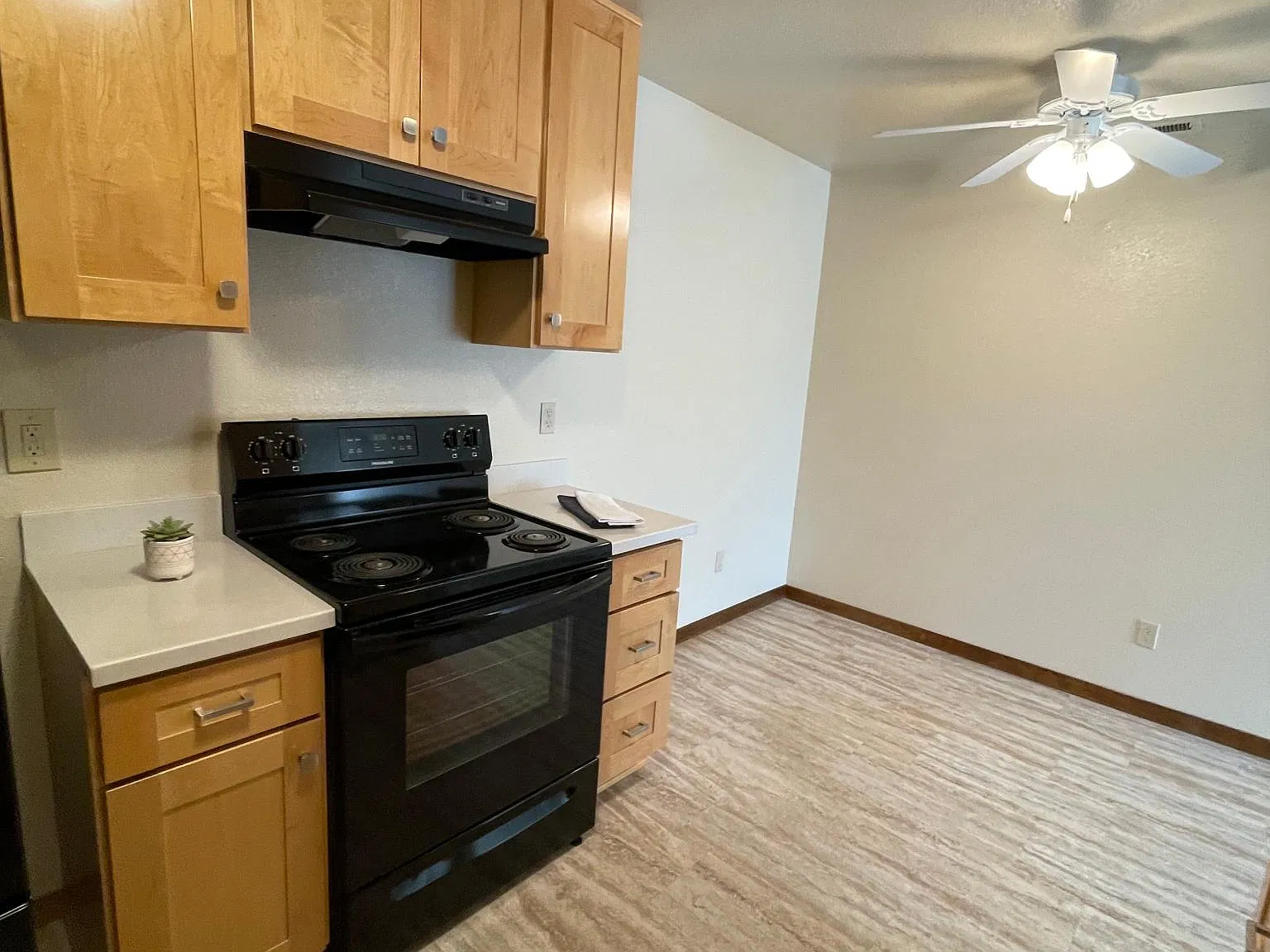 2 bed, 908 sqft, $3,395 — Photo 4