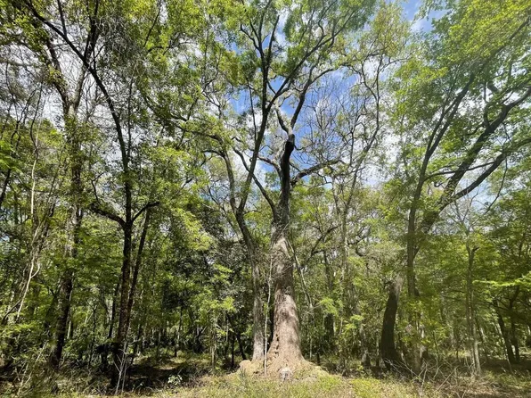 Tbd 292nd St, Branford, FL 32008