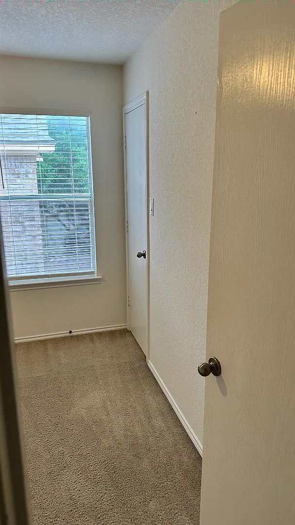 7919 Martinelli - C — Photo 4