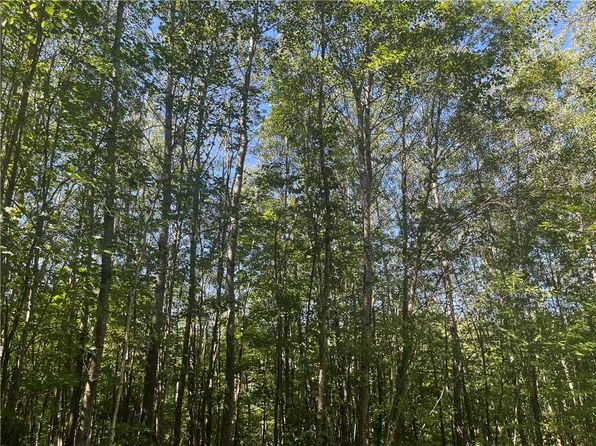 Parcel 5 County Highway T, Birchwood, WI 54817
