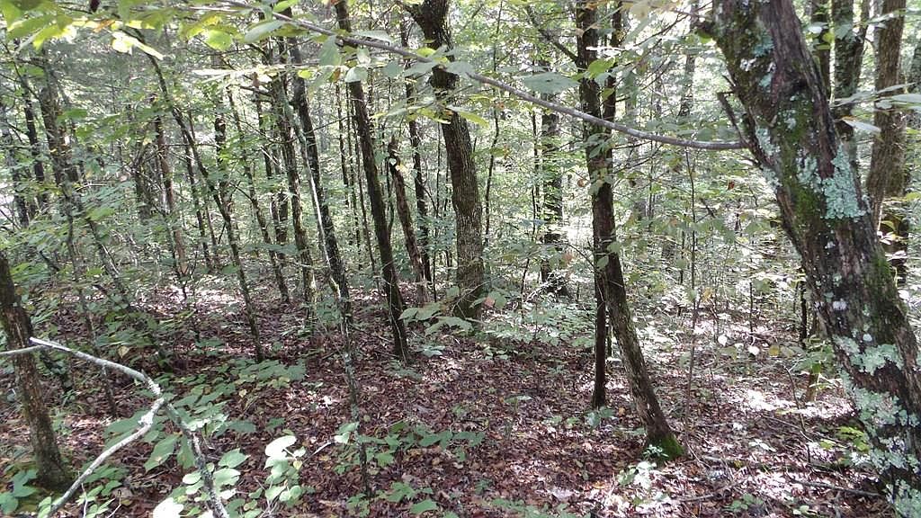 73 Rock Springs Rd, Celina, TN 38551 Zillow