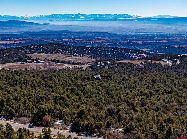 Lot 7 Wild Turkey Lane, Cedaredge, CO 81413
