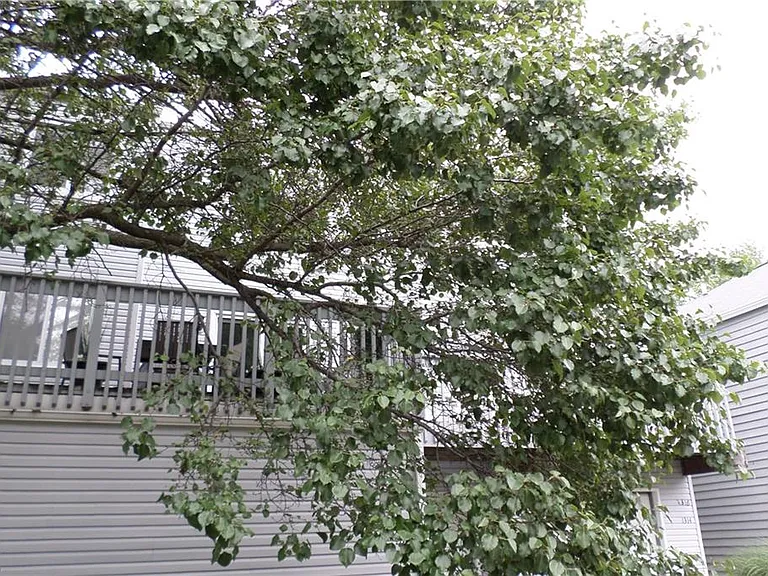 1312 Patti Park #1312 — Photo 1