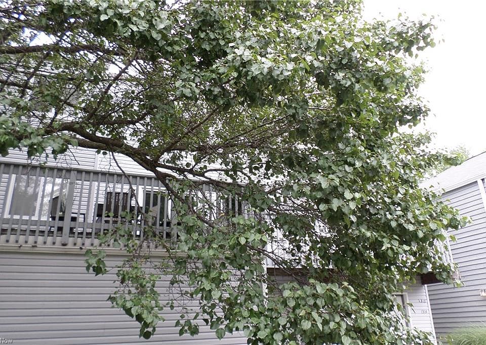 1st image of 1312 Patti Park #1312