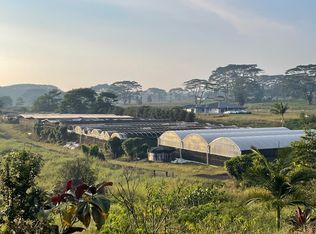 17-1083 Volcano Rd, Mountain View, HI 96771