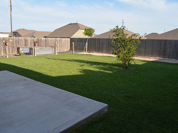 Backyard looking Southeast