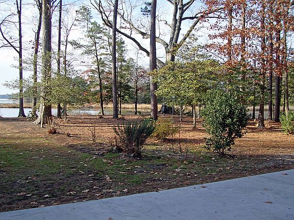 Beautiful vista in a natural setting.  Eagles are often sited here.