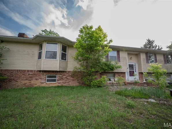 7754 Liberty School Rd, Leslie, MO 63056