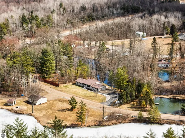 89 River Dr, Merritt, MI 49667
