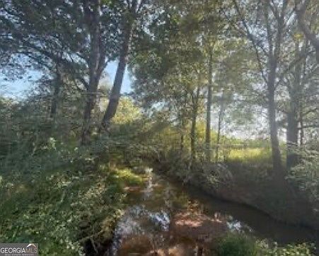 3rd image of 15 W L Williams Rd