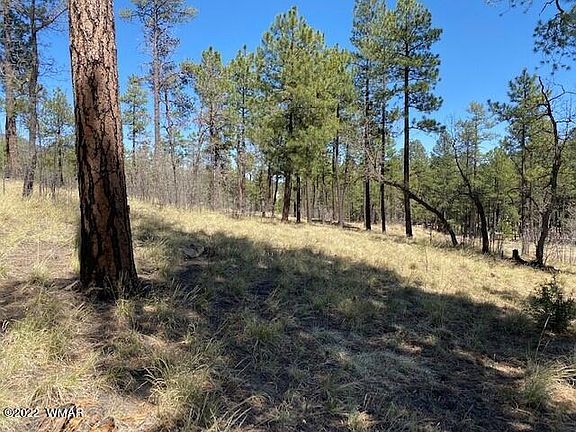 5th image of 0 County Road 2191 Lot 41