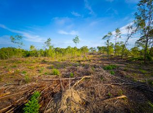 158 Spring Dr TRACT A&B LOT WP, Macon, GA 31217