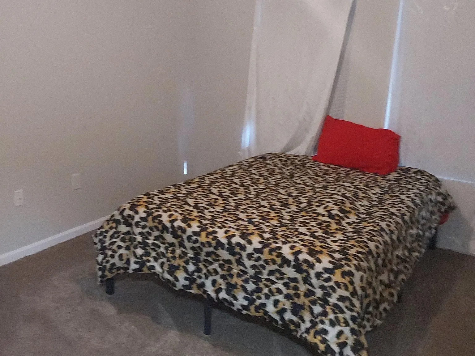 4 bed, 2.5 bath, 2038 sqft, $975 — Photo 3