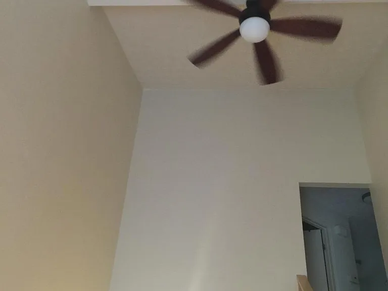 Vaulted Ceiling