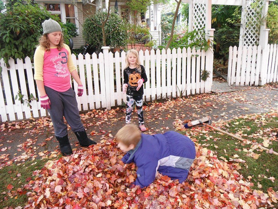Fall in the front yard.