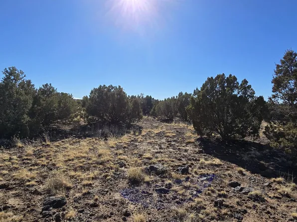 8716 Richard Rd, Show Low, AZ 85901