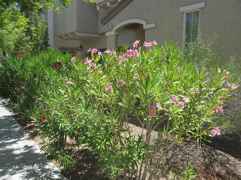 8513 Orly Ave — Photo 3