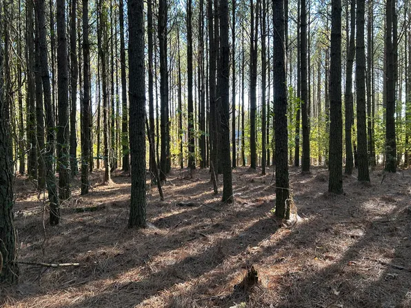 2035 Crockett Loop, Jasper, TN 37347