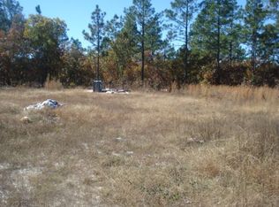 115 Firebird Ln, Pelion, SC 29123