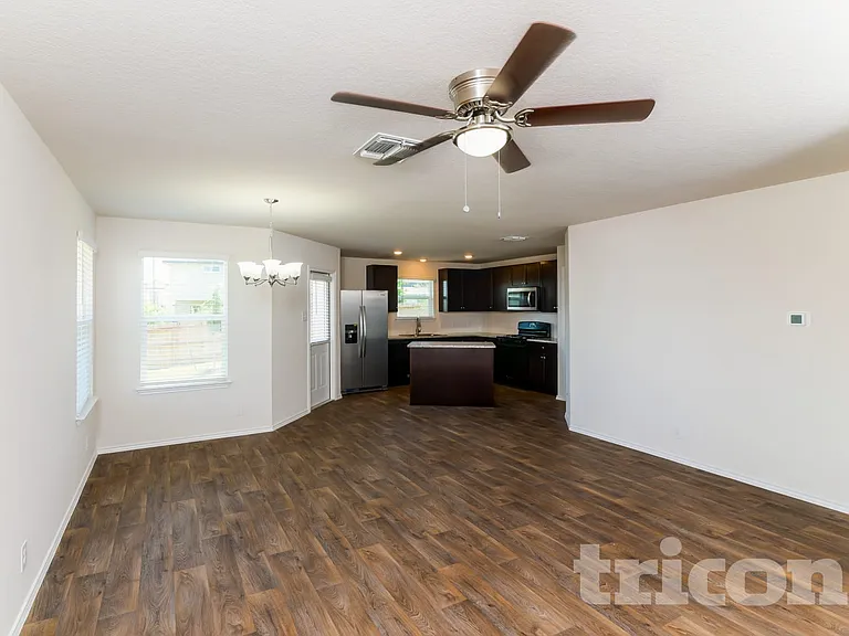 15406 Shortwing — Photo 2